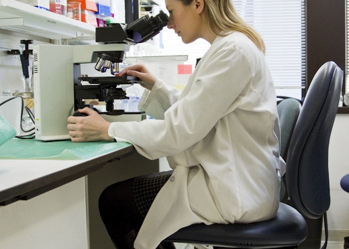 Scientists collaborating